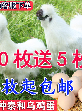 正宗新鲜白凤泰和乌鸡蛋凤头鸡蛋白凤乌骨鸡蛋农家鸡蛋原种乌鸡蛋