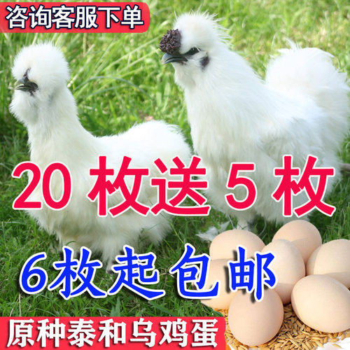 正宗新鲜白凤泰和乌鸡蛋凤头鸡蛋白凤乌骨鸡蛋农家鸡蛋原种乌鸡蛋 - 封面