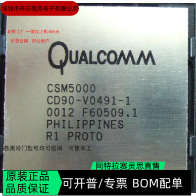 CSM5000 全新正品 可编程IC芯片 咨询下单