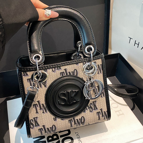 高级感小包包女2024新款日韩时尚字母单肩包手提斜挎小方包戴妃包