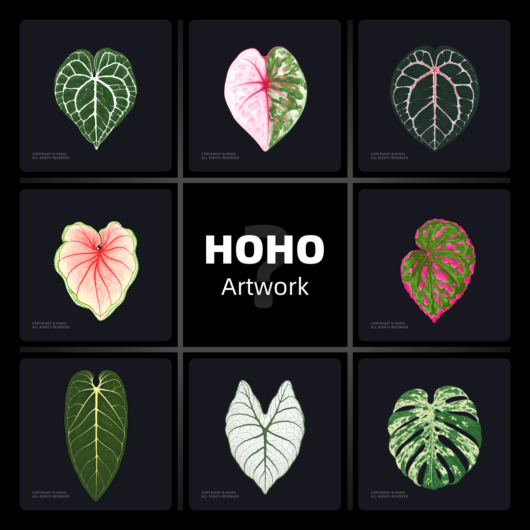 HOHO热植派对磁吸冰箱贴