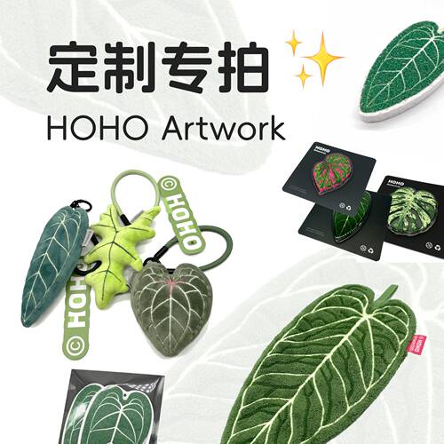 定制合作｜HOHO原创设计植物周边