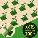绿萝爬墙固定器绿植攀爬绿植爬墙神器夹子墙上无痕挂钩粘爬藤杆子