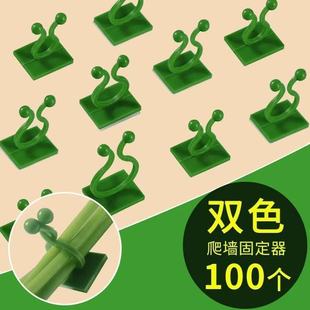绿萝爬墙固定器绿植攀爬绿植爬墙神器夹子墙上无痕挂钩粘爬藤杆子