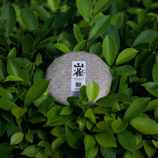 十六年老店 2025新品山雀  非流水线产物 掌柜自制 藏品级