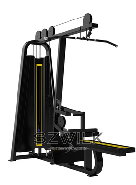 SZWILK高低拉训练器材双功能高拉划船训练机坐姿拉背机JM-Y8019