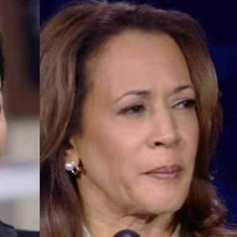 法式小香风珍珠耳环女2024新高级感耳钉小众设计感耳饰哈里斯同款