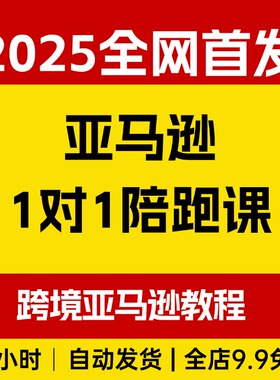 亚马逊1对1陪跑课(FBA FBM精铺)跨境亚马逊教程