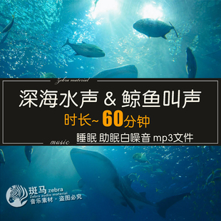 深邃悠远鲸鱼鸣叫声音 克服密闭深海恐惧水流白噪声MP3素材下载