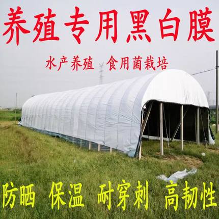 黑白膜养殖防晒加厚大棚专用黑白膜隔热防晒保温食用菌大棚绿白膜
