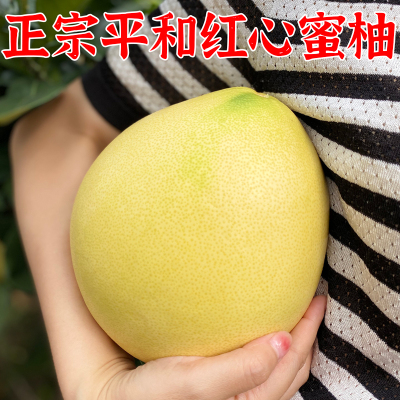 正宗平和三红柚甜蜜多汁