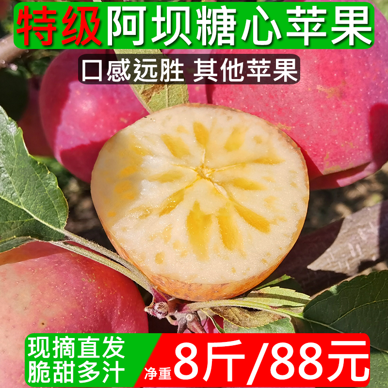 阿坝州高原糖心苹果超甜多汁