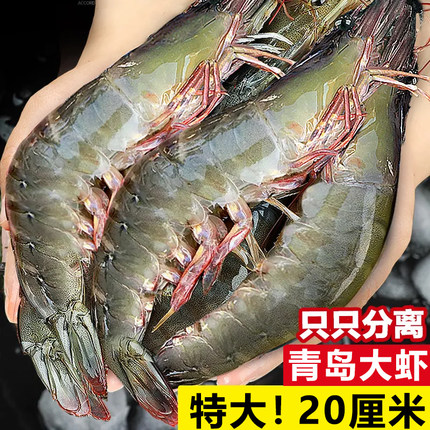 青岛大虾鲜活特大青虾对虾速冻冷冻海虾青虾白虾孕妇单只气冻大虾