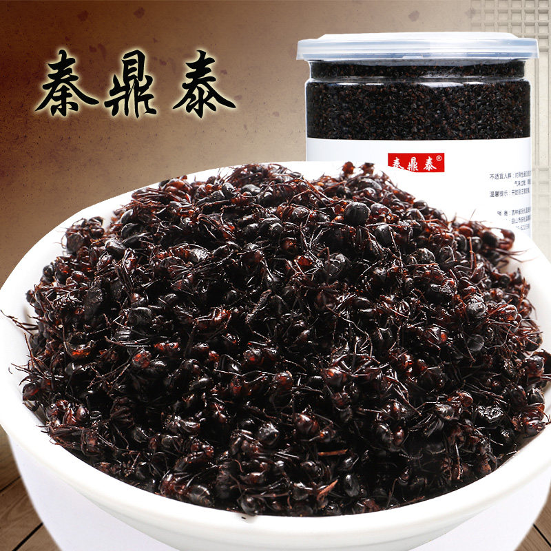 东北黑蚂蚁长白山黑蚂蚁干大山蚁正品拟黑多刺蚁可食用泡酒250g