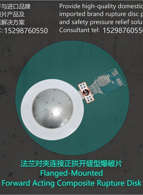 定制与法兰直接对夹安装使用型爆破片安全泄压装置保护储罐管道LF