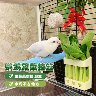 鹦鹉蔬菜水果喂食篮鸟用品喂食器玄凤牡丹食物夹篮虎皮果蔬挂篮筐