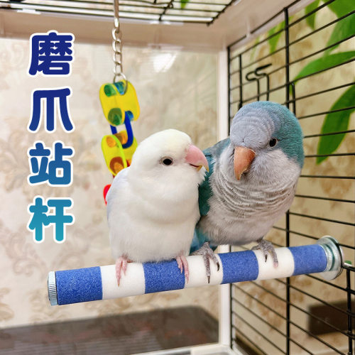 鹦鹉磨砂站杆磨嘴磨爪效果好
