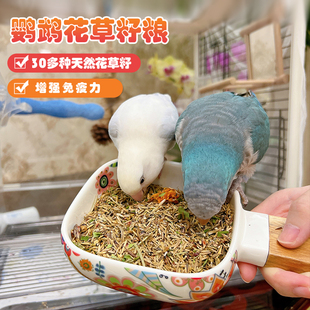 鹦鹉种子粮清热去火30多种花草籽粮牡丹玄凤虎皮辅食零食增强体质