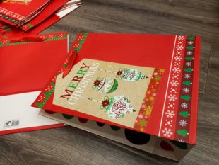 出口订单库存现货大号竖版圣诞礼物包装手提袋红色节日礼品纸袋