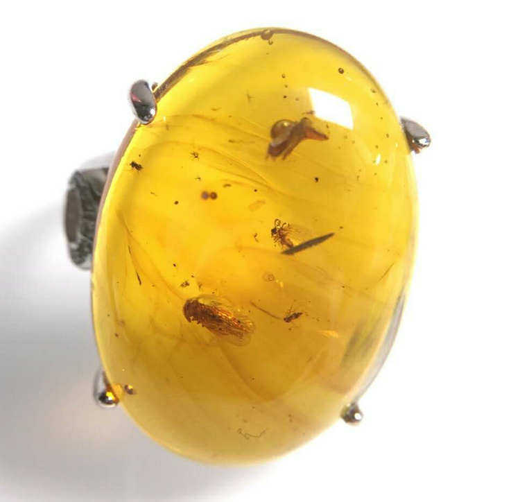 收藏精品缅甸纯天然金珀虫珀戒指史前昆虫化石戒指925银活口戒托