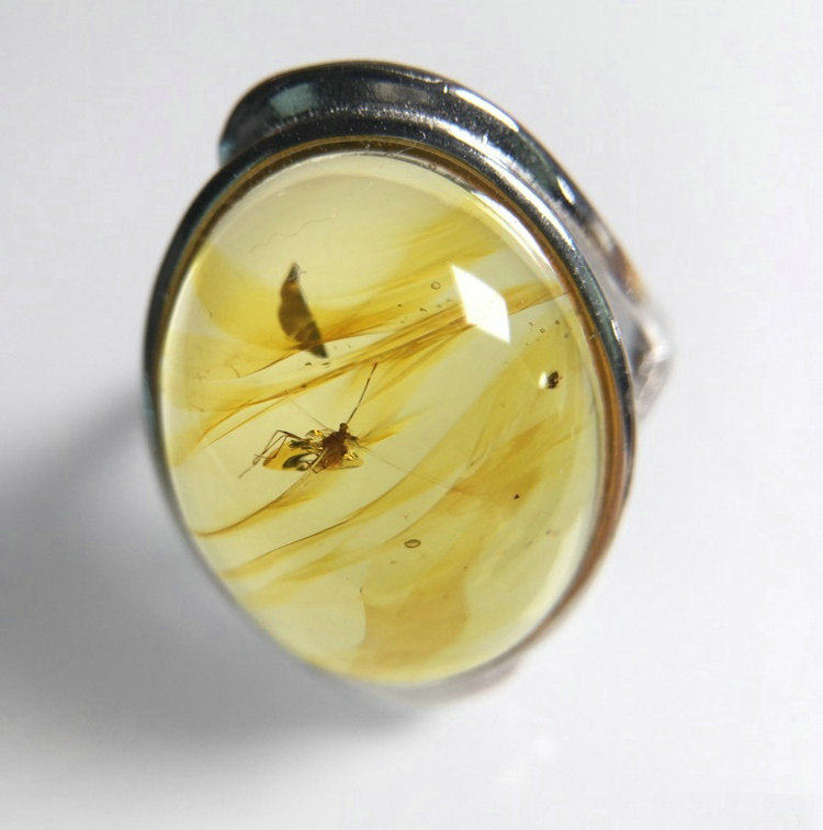 收藏精品缅甸纯天然金珀虫珀戒指史前昆虫化石戒指925银活口戒托