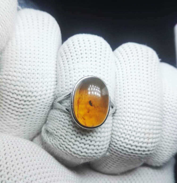 纯天然金珀虫珀戒指史前昆虫化石个性戒指925银活口戒托收藏精品