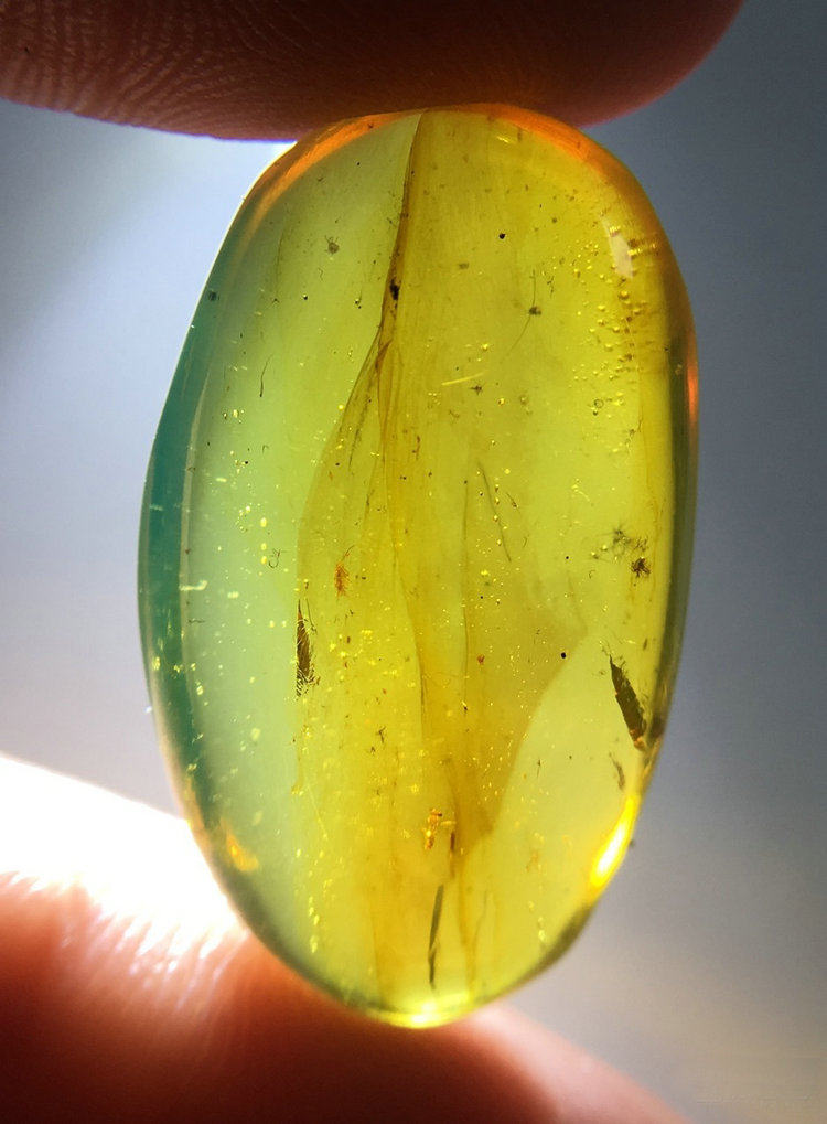 纯天然琥珀金珀虫珀史前昆虫化石随形吊坠或戒面收藏精品特惠