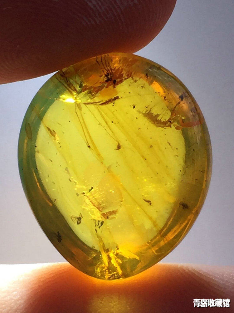 3克纯天然金琥珀虫珀史前昆虫化石随形吊坠或戒面收藏精品