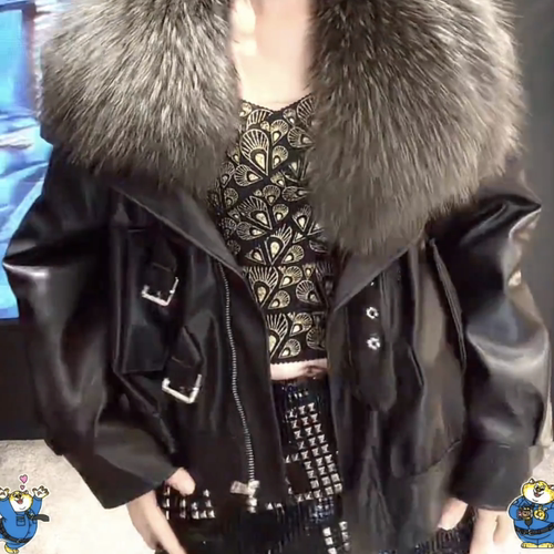 欧港妮短款貉子毛领皮衣