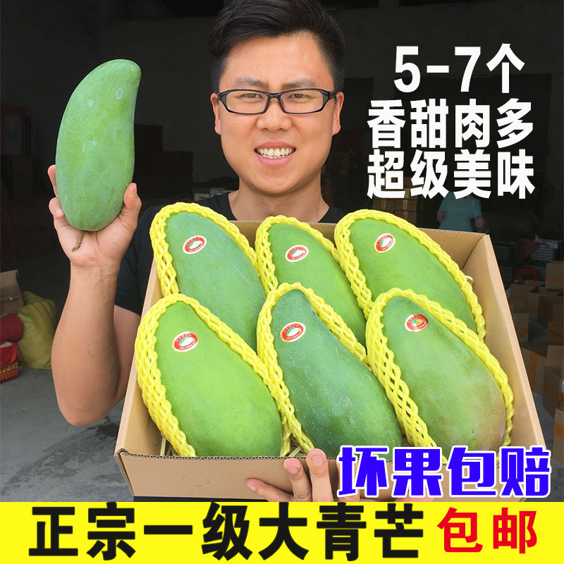 正宗大青芒广西芒果青皮金煌芒大果9斤新鲜包邮当季水果