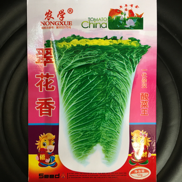 翠花黄金秋季种植大白菜