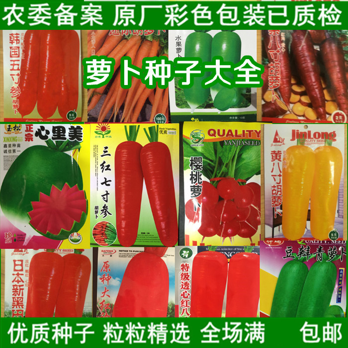 萝卜种子胡萝红萝卜心里美绊倒驴