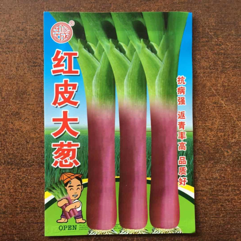 红皮大葱种子东北章丘大葱四季葱种子高产葱种香葱孑蔬菜种籽散装