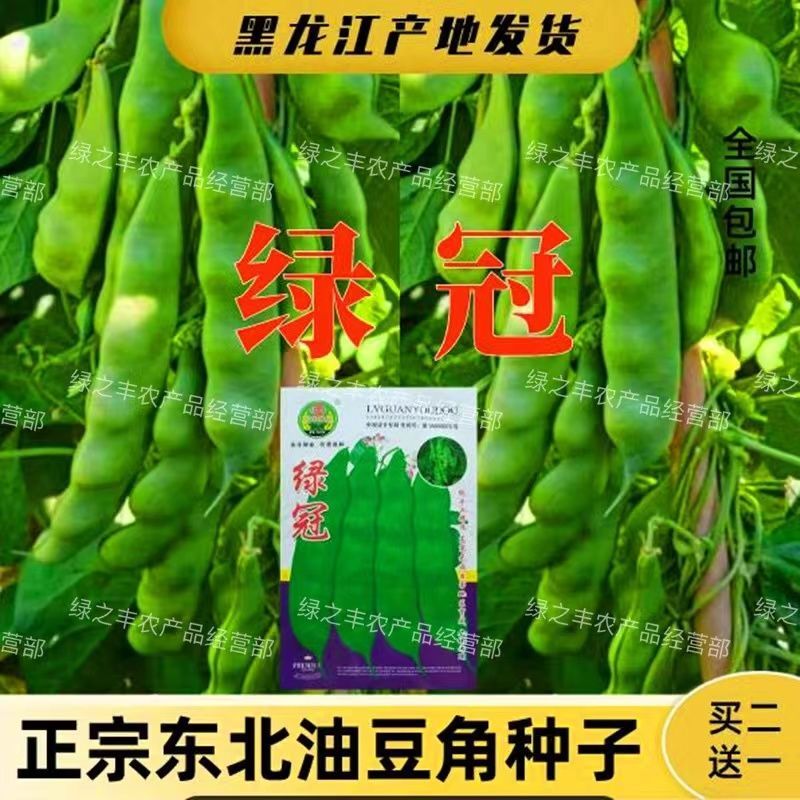 绿冠油豆角种东北油豆角种子