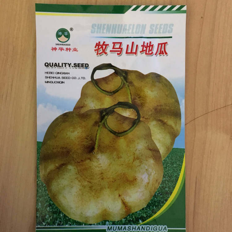 牧马山地瓜种籽地瓜种子凉薯水果四川沙葛土瓜凉瓜特产蔬菜种子孑