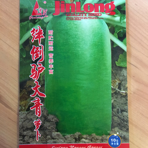 绊倒青萝卜水果家庭园艺秋波种子
