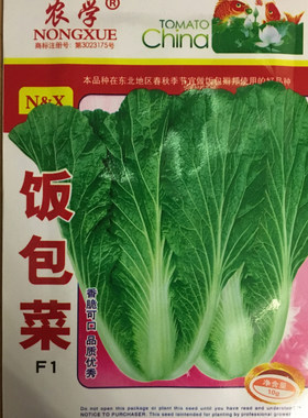 饭包打包菜种子蘸酱菜种孑白菜