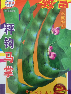 弯马掌种孑开锅烂东北油豆角春秋