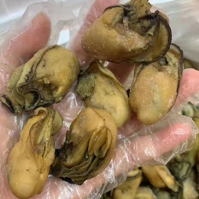 40头大金蚝干野生大号生蚝干蚝鼓海蛎子牡蛎干货海产海鲜500g包邮