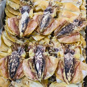 船晒中墨鱼干500g木鱼干目鱼干默鱼干送礼大中号特级野生淡干货