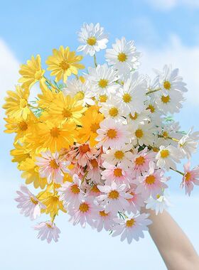 ins风小雏菊10枝混色50cm洋甘菊