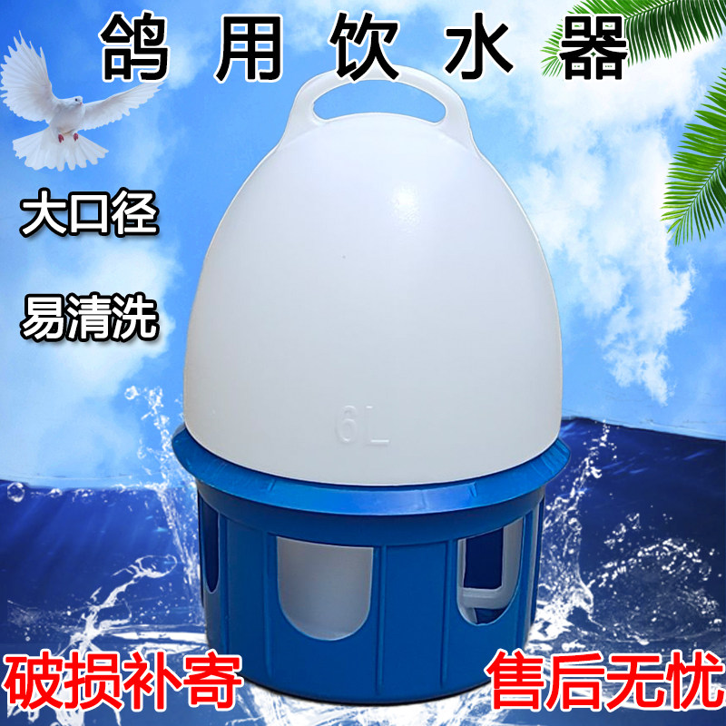 鸽子水壶自动喂水器赛鸽水壶
