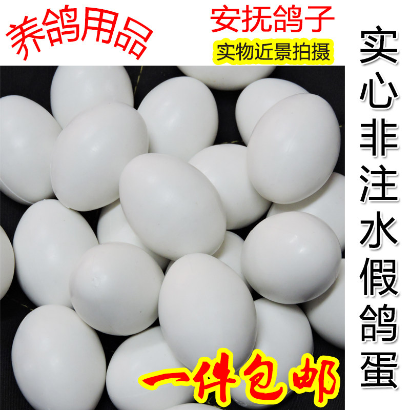 鸽子假蛋塑料实心非注水假鸽蛋信赛鸽足环脚环鸽用品用具鸽具包邮
