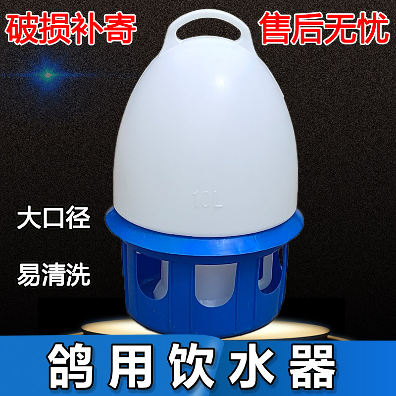 鸽子自动饮水壶站架鸽食槽草窝