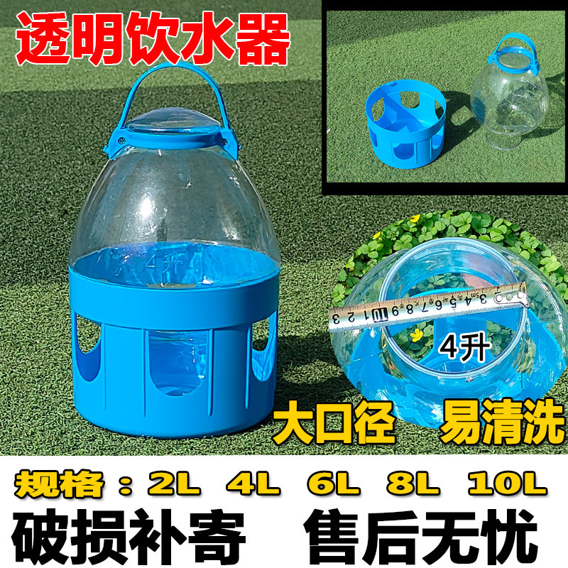 加厚透明鸽子饮水器喂水壶喝水壶