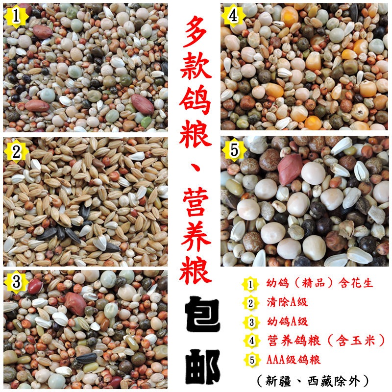 鸽子粮无玉米鸽粮食营养饲料鸟食