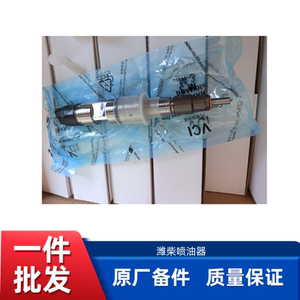 潍柴WP10国三发动机50铲车装载机电喷博士喷油器1000400254
