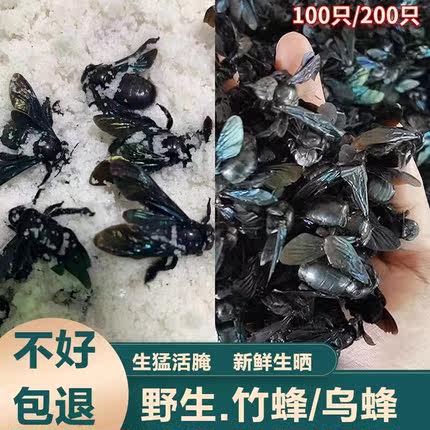 乌竹蜂广西野生竹蜂干制100只装新鲜生晒食用农产品