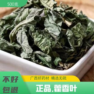 广西藿香中药材500g克包邮新鲜霍香叶 广藿香叶 藿香叶茶可泡茶水
