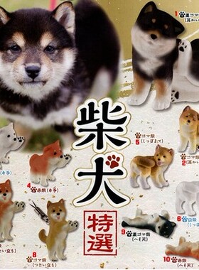 日本Epoch可爱玩耍回眸兔 柴犬摆件与吊饰场景扭蛋公仔玩具手办